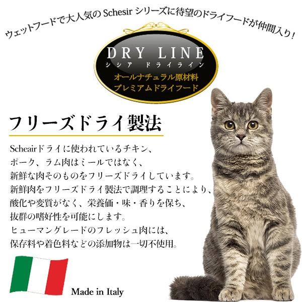 シシア 猫 Schesir キャットフード 成猫用 ドライ アダルト ラム 400g キャットフード ドライフード 成猫用 アダルト 猫用品 ペッツビレッジクロスpaypayモール 通販 Paypayモール