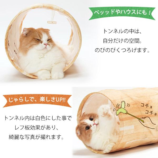 猫壱（necoichi） キャットトンネルスパイラル 木目柄 : ペッツ