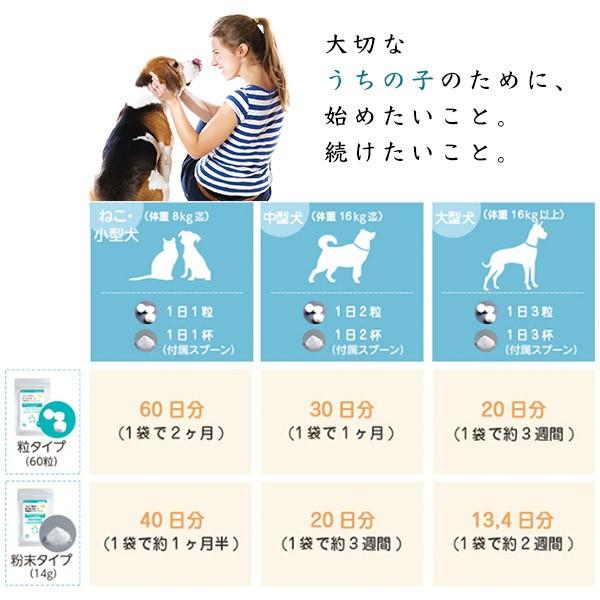 プレミアモード プロバイオ デンタルPET 粉末タイプ 14g(ドッグフード/サプリメント/デンタル/獣医師推奨/口腔善玉菌/オーラルケア/犬用品) :33114547ku:ペッツビレッジクロスヤフー店 - 通販 - Yahoo!ショッピング プレミアモード プロバイオ デンタルPET 粉末タイプ 14g(ドッグフード/サプリメント/デンタル/獣医師推奨/口腔善玉菌/オーラルケア/犬用品) :33114547ku:ペッツビレッジクロスヤフー店 - 通販 - Yahoo!ショッピング