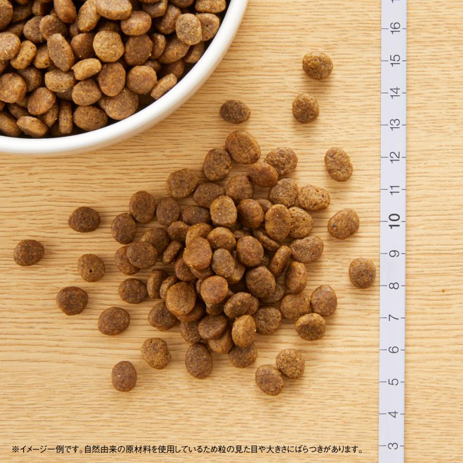 公認店 ニュートロ ワイルドレシピ ドッグフード 超小型犬〜小型犬用 子犬用 ターキー 4kg｜kurosu｜02
