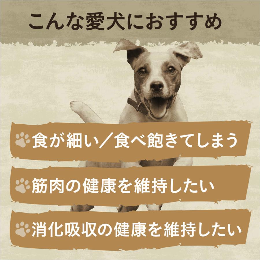 公認店 ニュートロ ワイルドレシピ ドッグフード 超小型犬〜小型犬用 子犬用 ターキー 4kg｜kurosu｜06