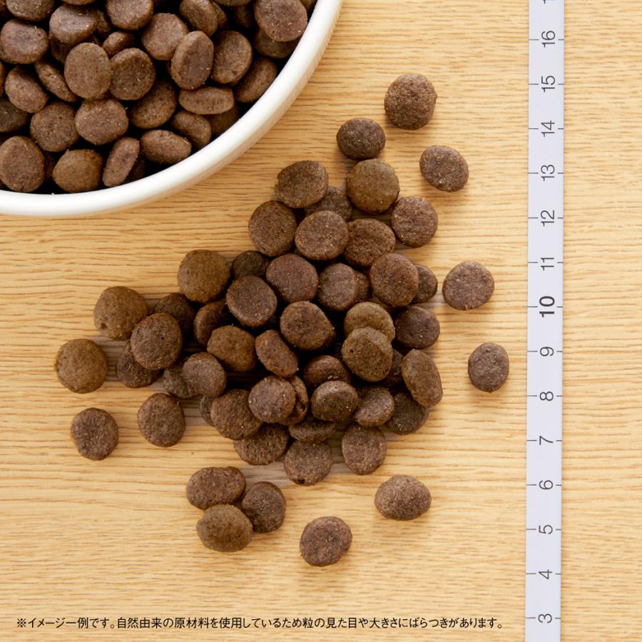 WILD RECIPE 公認店 ニュートロ ワイルドレシピ 超小型犬〜小型犬用 成
