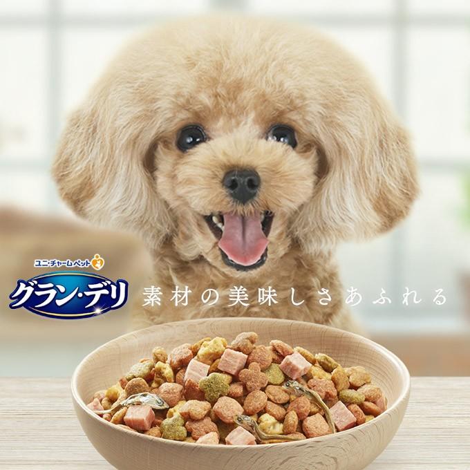ドッグフード ユニチャーム グランデリ カリカリ仕立て 成犬用 彩り野菜入りセレクト 1 6kg 国産 ドライフード アダルト 小粒 総合栄養食 ku ペッツビレッジクロスヤフー店 通販 Yahoo ショッピング