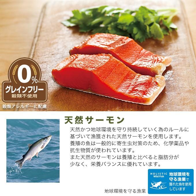 Pointup ドッグフード Halo Dog エイジングケア7 小粒 天然サーモン グレインフリー 900g ハロー 高齢犬 シニア ku ペッツビレッジクロスヤフー店 通販 Yahoo ショッピング