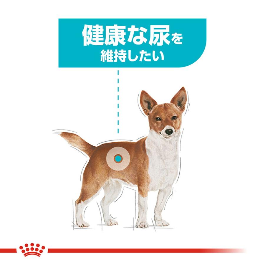 ロイヤルカナン（ROYAL CANIN） CCN ミニ ユリナリーケア 小型犬 健康