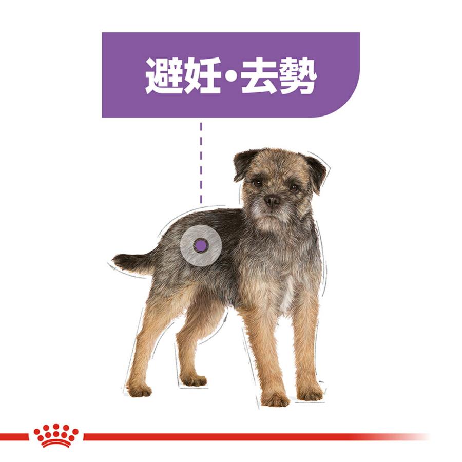 ロイヤルカナン（ROYAL CANIN） CCN ミニ ステアライズド 小型犬 避妊