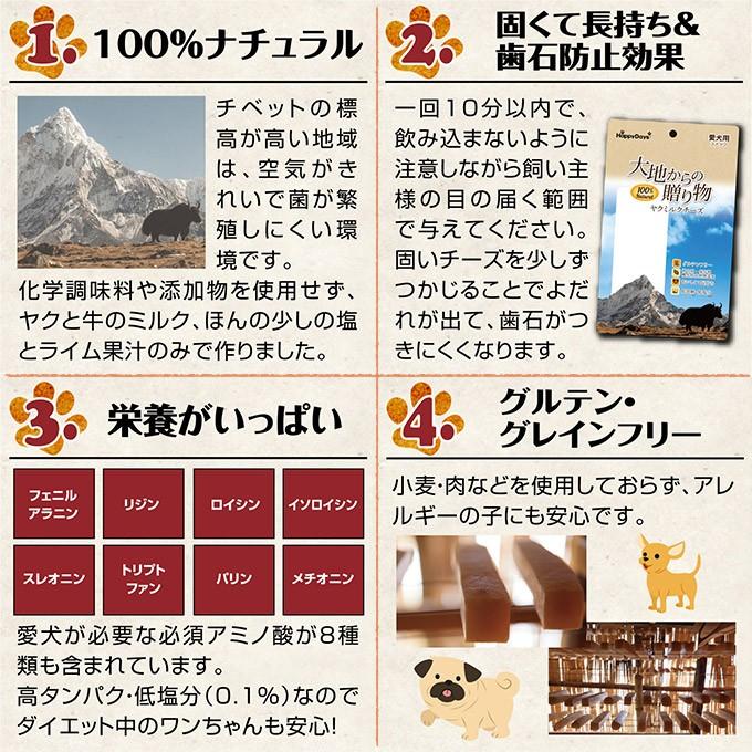 市場 大地からの贈り物 ヤクミルクチーズ 市場 大地からの贈り物 ヤクミルクチーズ