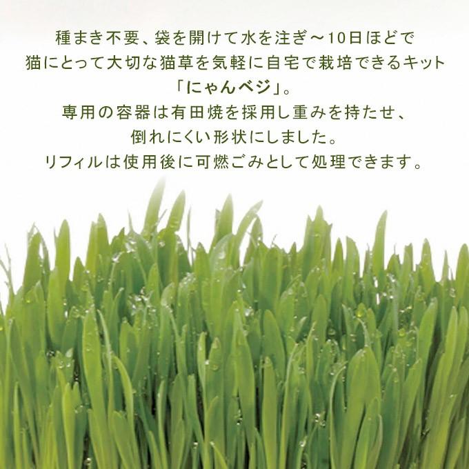 Hario 猫草栽培キット にゃんベジセット N ハリオ 栽培キット 毛玉 ヘアボール えん麦 猫のおやつ 猫用品 ペッツビレッジクロスpaypayモール 通販 Paypayモール