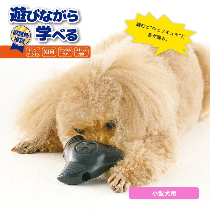 犬用 リッチェル ビジーバディ ニンジャスター S ブラック 小型犬用 ドッグ Toy 玩具 ストレス発散 噛む かむ カム 知育 おやつ ペッツビレッジクロスpaypayモール 通販 Paypayモール