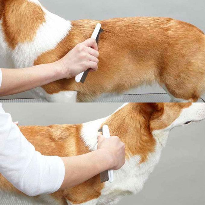 １着でも送料無料 ニューハニースマイル フリー コーム 犬用 猫用 ドギーマンハヤシ ブラッシング 被毛 抜け毛 もつれ毛 からまり毛 整える Discoversvg Com