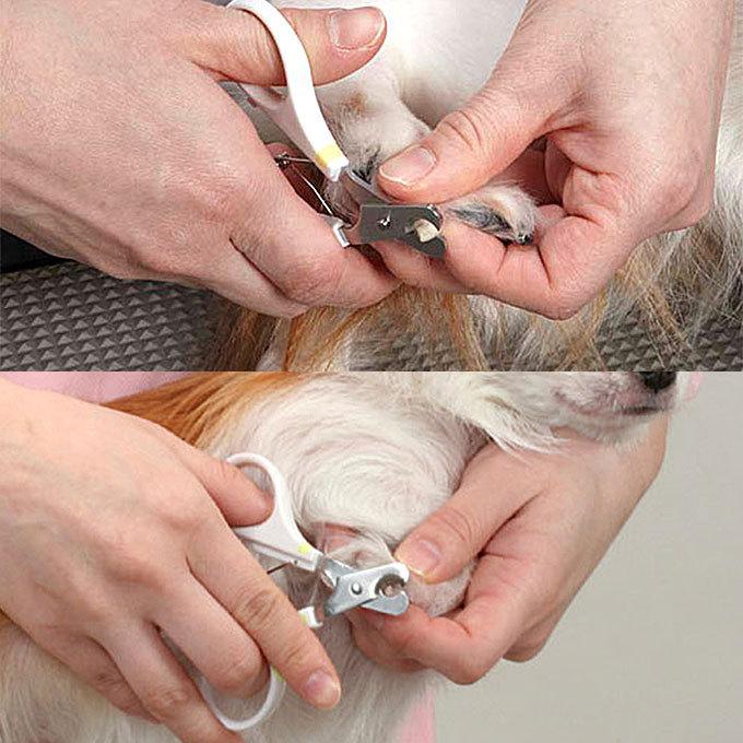 ニューハニースマイル 犬用 カーブ 爪切り ミニ 犬用 ドギーマンハヤシ つめ切り ツメきり ツメ切り 爪 つめ ツメ カット 切り きり ケア 整える 巻き爪 ペッツビレッジクロスpaypayモール 通販 Paypayモール