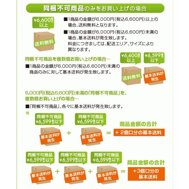 ニチドウ メチレンブルー 水溶液 200ml ■ 医薬品 白点病 尾ぐされ病 水カビ病 スレ傷 外傷治療薬 日本動物薬品 魚 アクアリウム 観賞魚 用品 水槽 同梱不可｜kurosu｜02