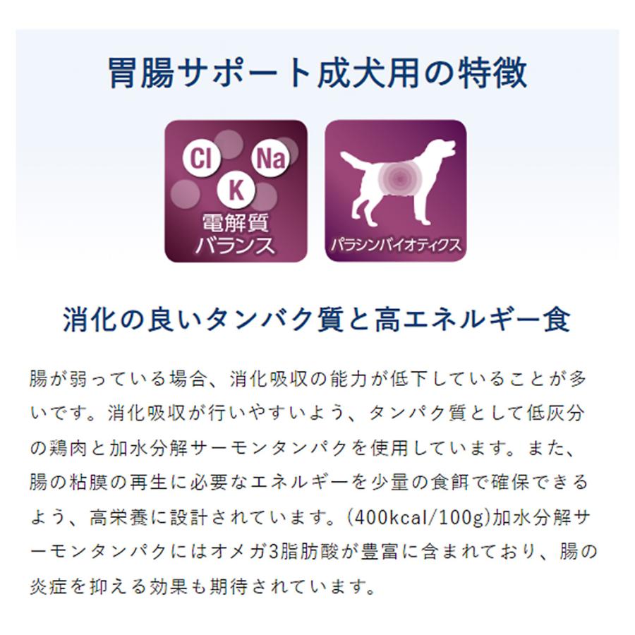 VetSolution ベッツソリューション 犬用 胃腸サポート 800g
