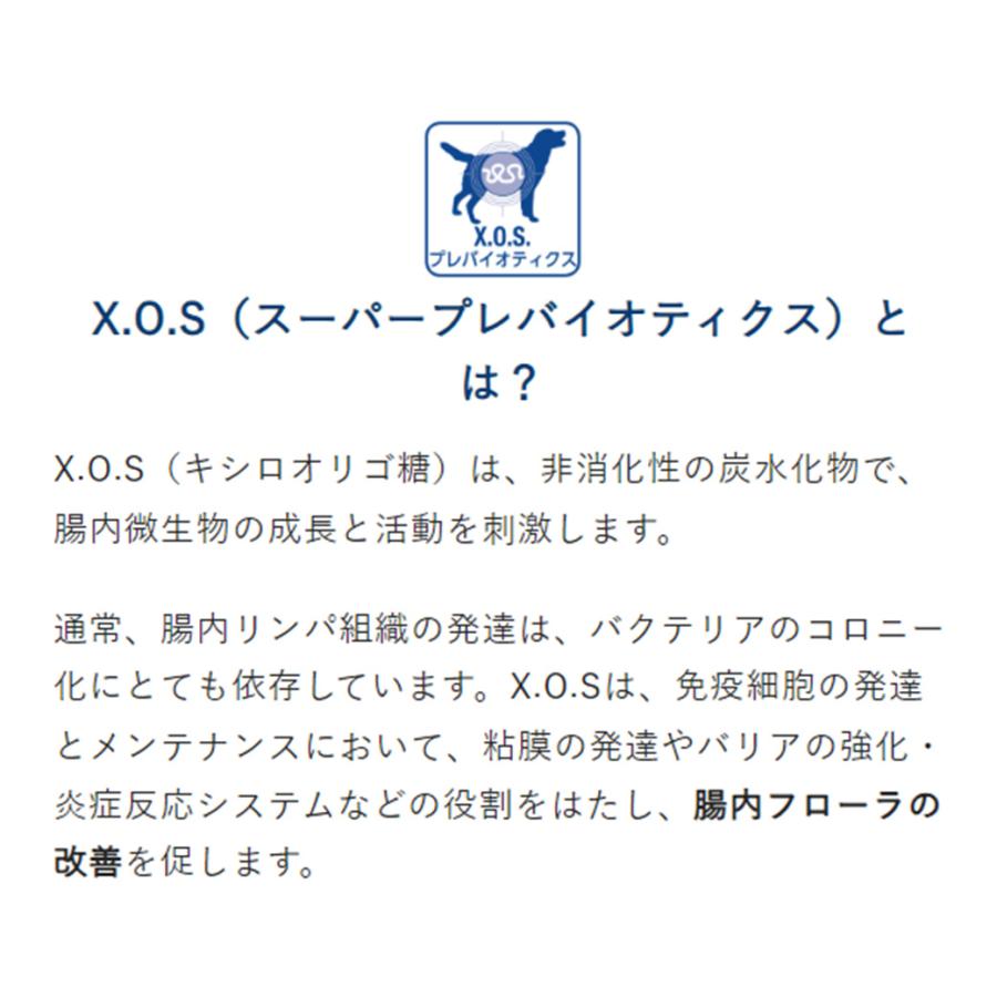 VetSolution ベッツソリューション 犬用 肝臓サポート 3kg : ペッツ