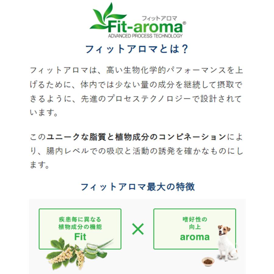 VetSolution ベッツソリューション 猫用 尿中ストルバイトサポート