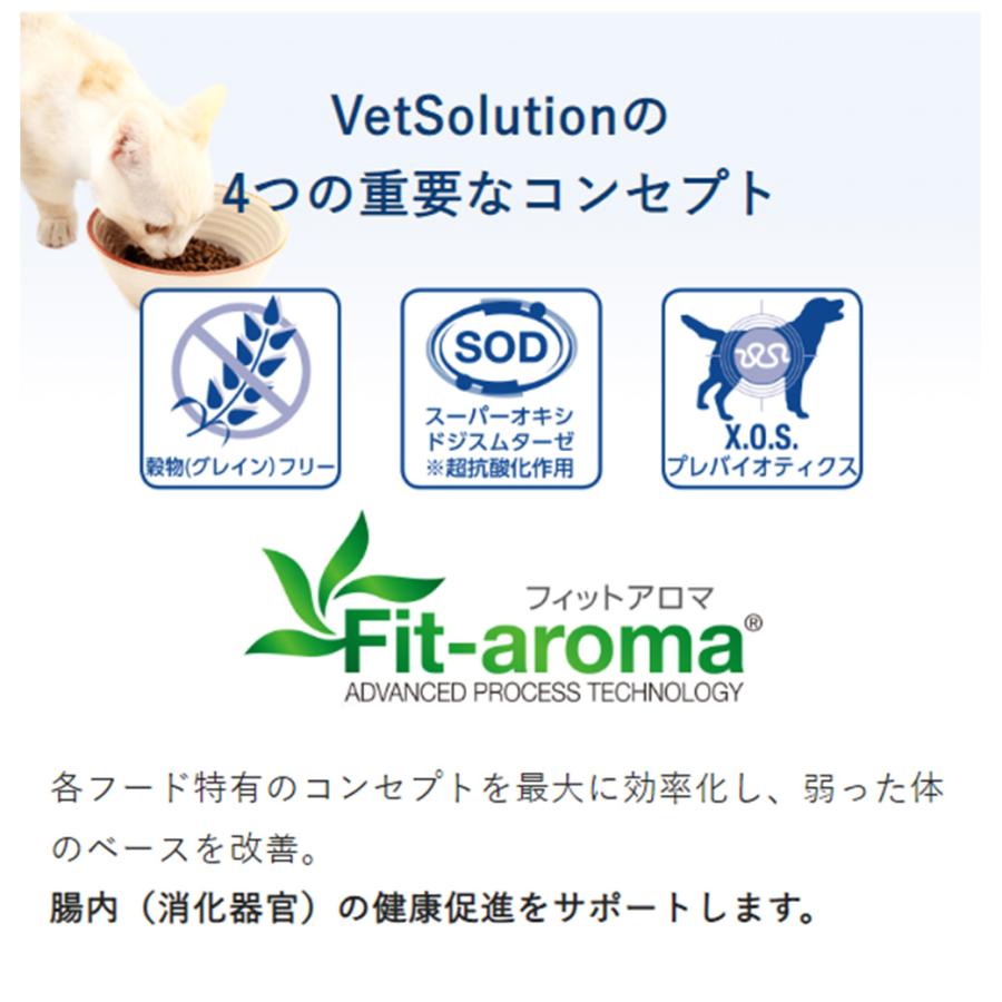 VetSolution ベッツソリューション 猫用 尿中ストルバイトサポート