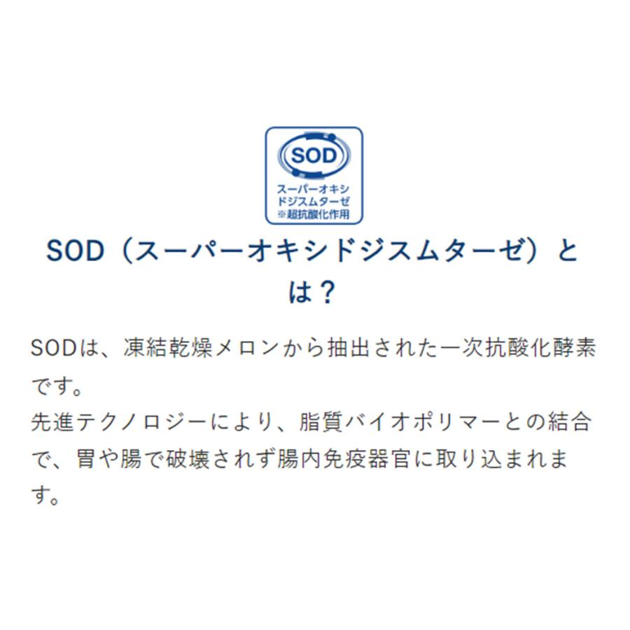 VetSolution ベッツソリューション 猫用 尿中ストルバイトサポート