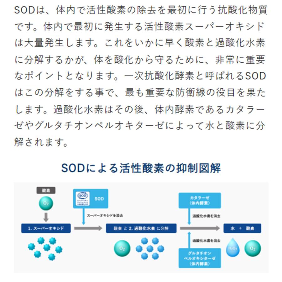 VetSolution ベッツソリューション 猫用 尿中ストルバイトサポート