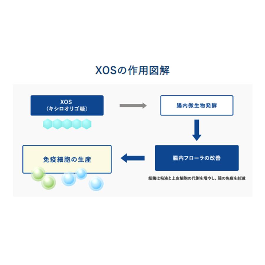VetSolution ベッツソリューション 猫用 尿中ストルバイトサポート