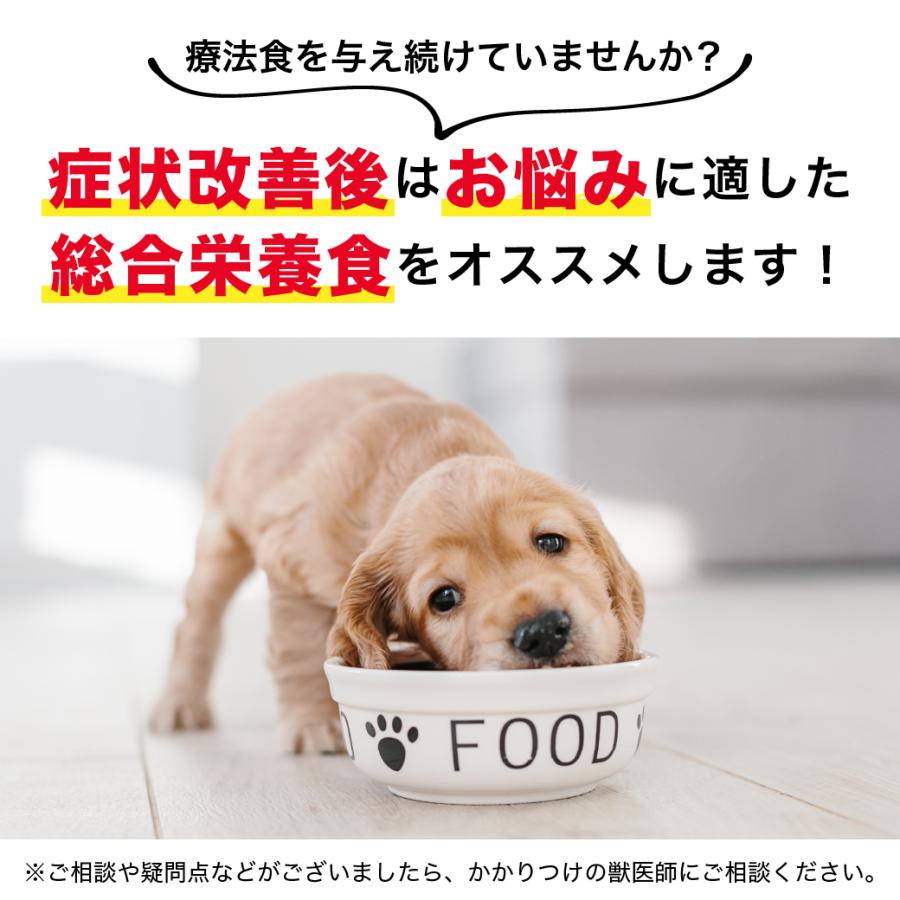 ロイヤルカナン（ROYAL CANIN） CCN マキシ ダーマコンフォート 大型犬
