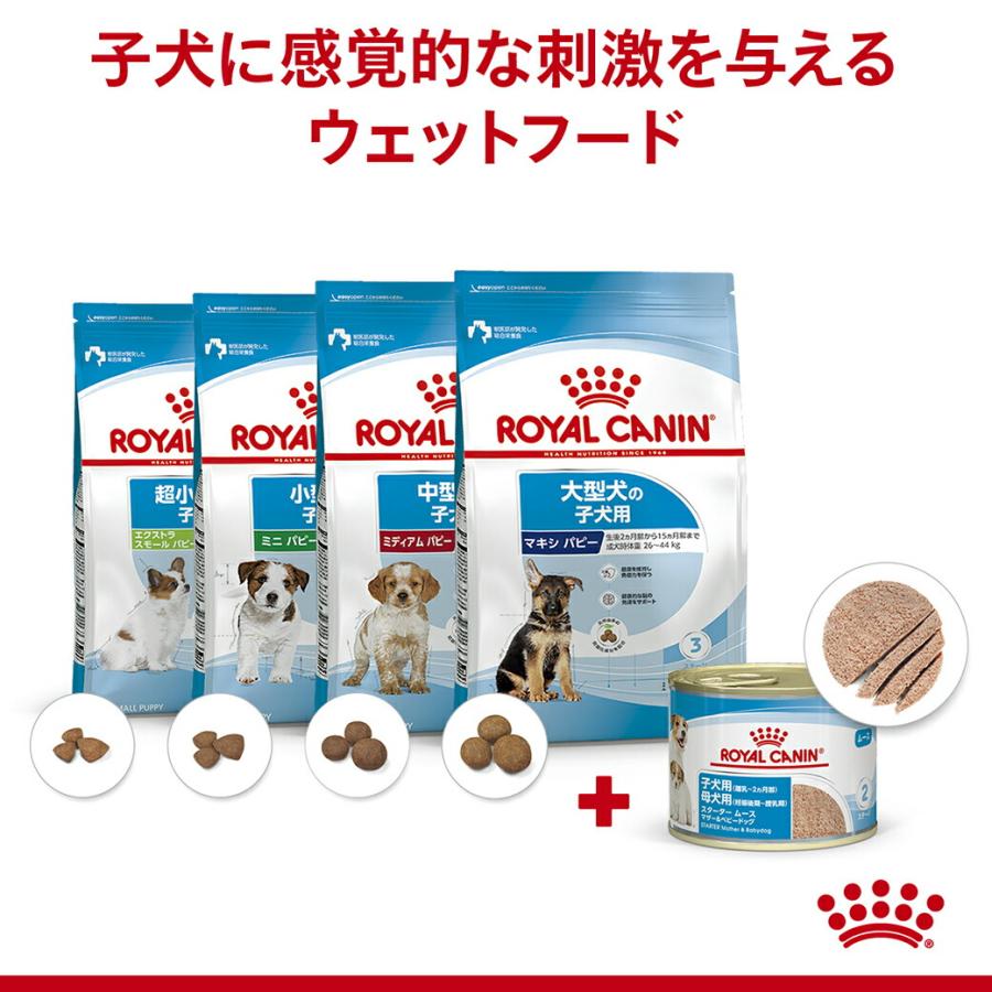 ロイヤルカナン（ROYAL CANIN） SHN-WET スターター ムース マザー