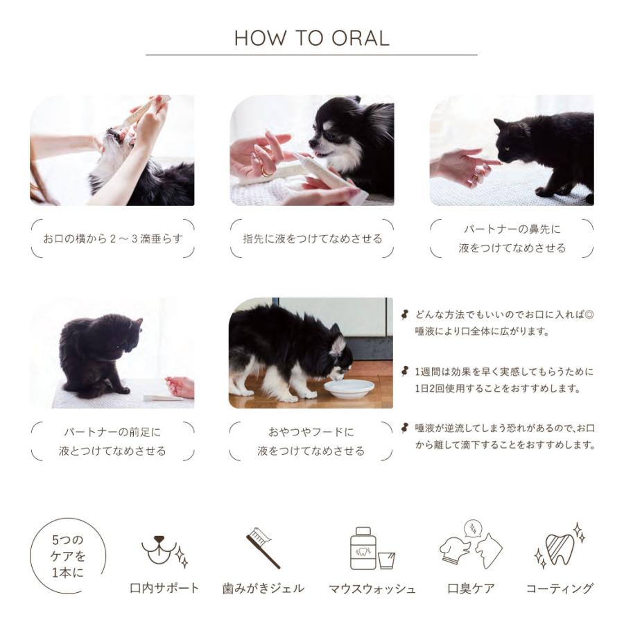 ナノウエル オーラルケア 愛犬用 20mL｜kurosu｜07