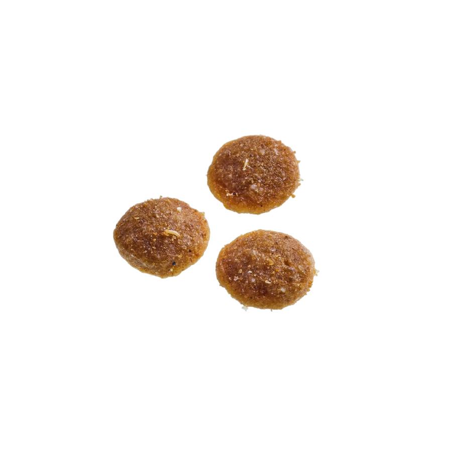 シュプレモ 公認店 ニュートロ 子猫用 チキン&サーモン 2kg シュプレモ 公認店 ニュートロ 子猫用 チキン&サーモン 2kg