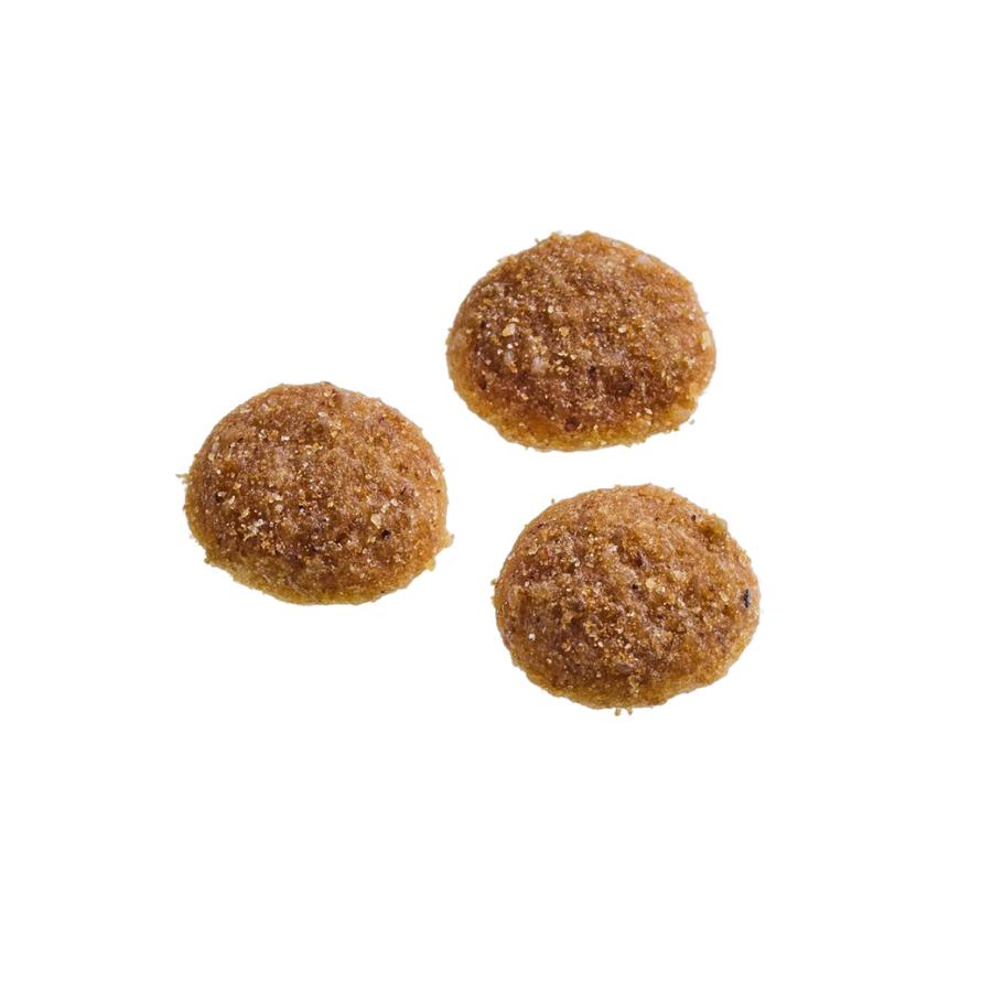 シュプレモ お試し 公認店 ニュートロ 成猫用 サーモン＆チキン 400g