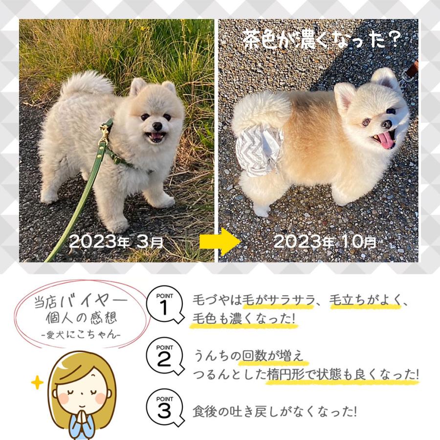 リガロ（RIGALO） ハイプロテインレシピ 7歳以上用 フィッシュ 5.8kg