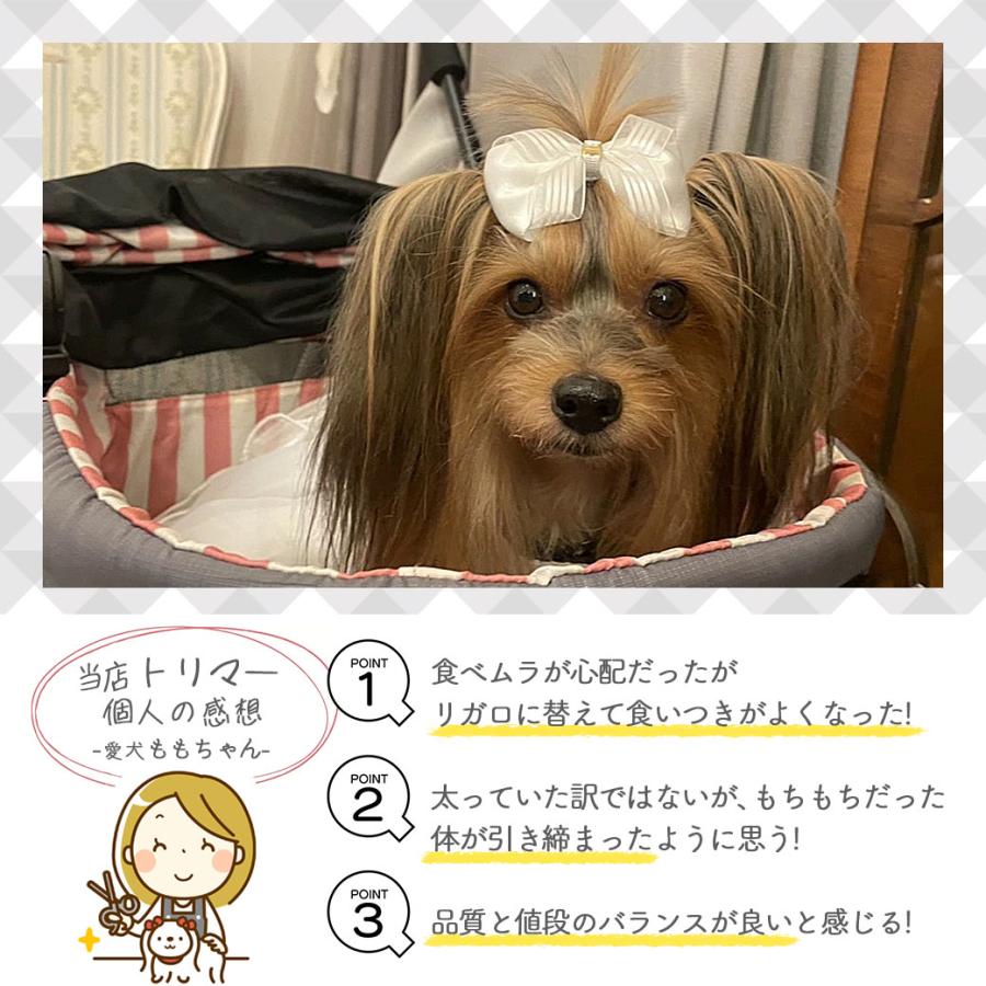 リガロ（RIGALO） ハイプロテインレシピ 7歳以上用 フィッシュ 5.8kg