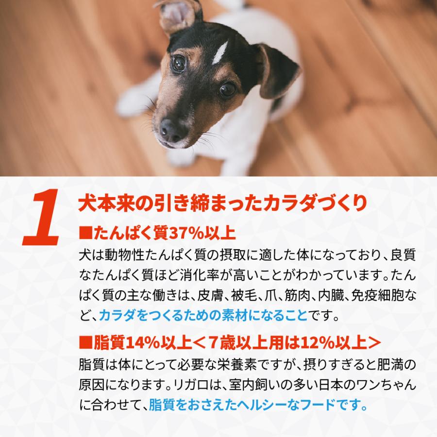 リガロ（RIGALO） ハイプロテインレシピ 7歳以上用 フィッシュ 5.8kg