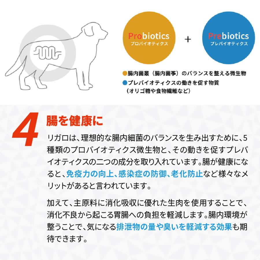 リガロ（RIGALO） ハイプロテインレシピ 7歳以上用 フィッシュ 5.8kg