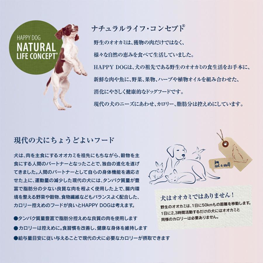 ハッピードッグ センシブル ジュニア サーモン＆ポテト 子犬用 中型犬