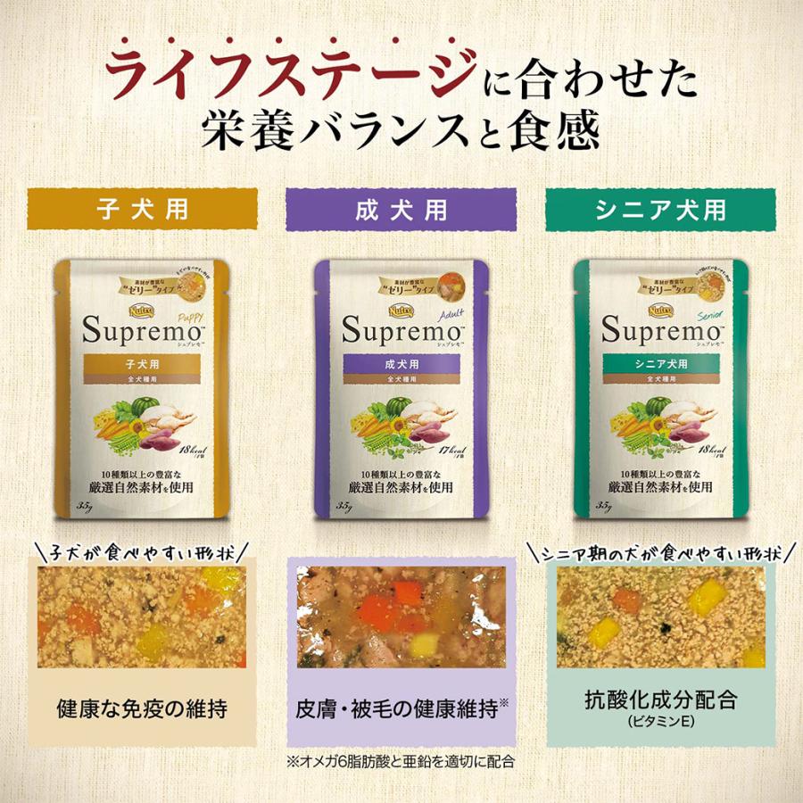 シュプレモ 公認店 ニュートロ ミニ パウチ シニア犬用 35g