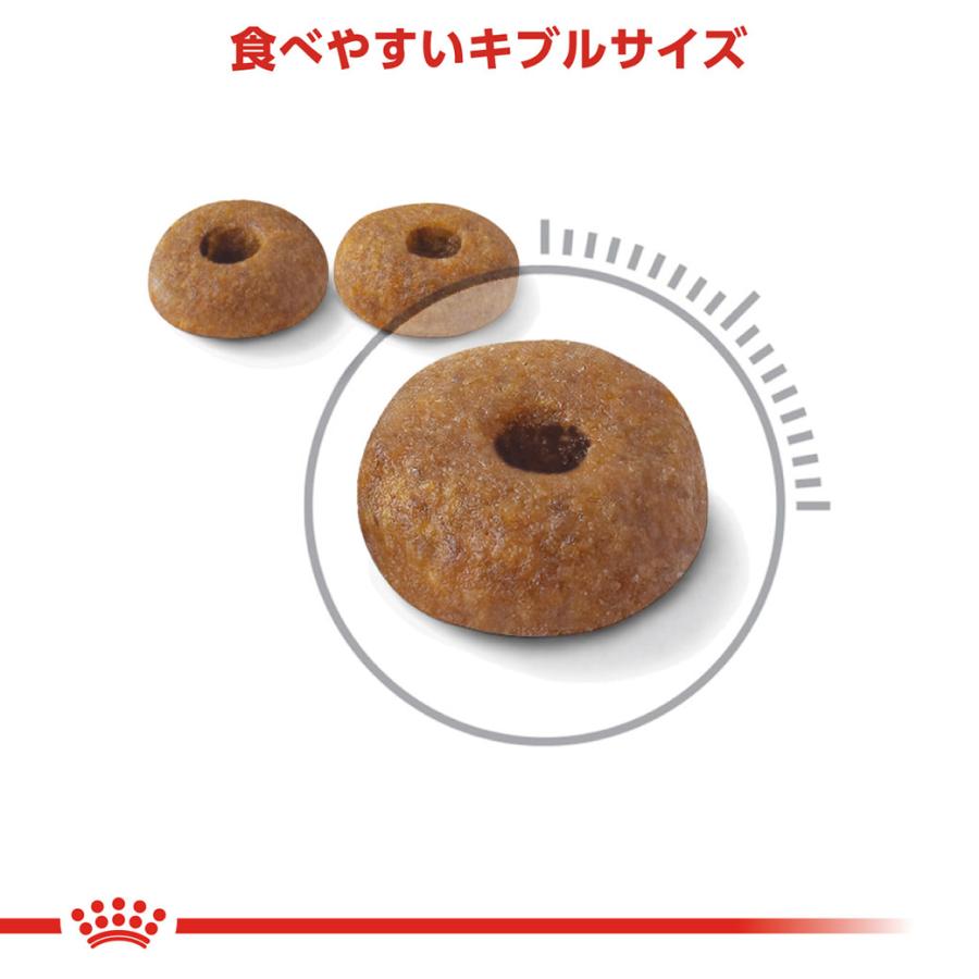 まとめ買いでお得！ロイヤルカナン FCN ダイジェスティブケア 健康なおなか・便を維持したい成猫用 生後12ヵ月齢以上 4kg ×4袋セット[キャットフード]の画像
