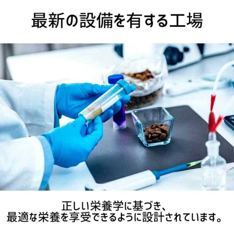 xg8524 WOLF INSIGHT BASIC チキン 小粒 12kg WOLF 12kg チキン 全年齢