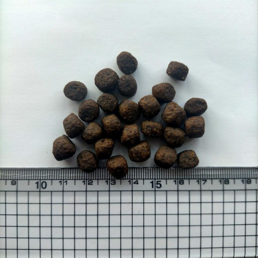 ウルフインサイト ベーシック サーモン 小粒 全年齢段階 12kg : ペッツ