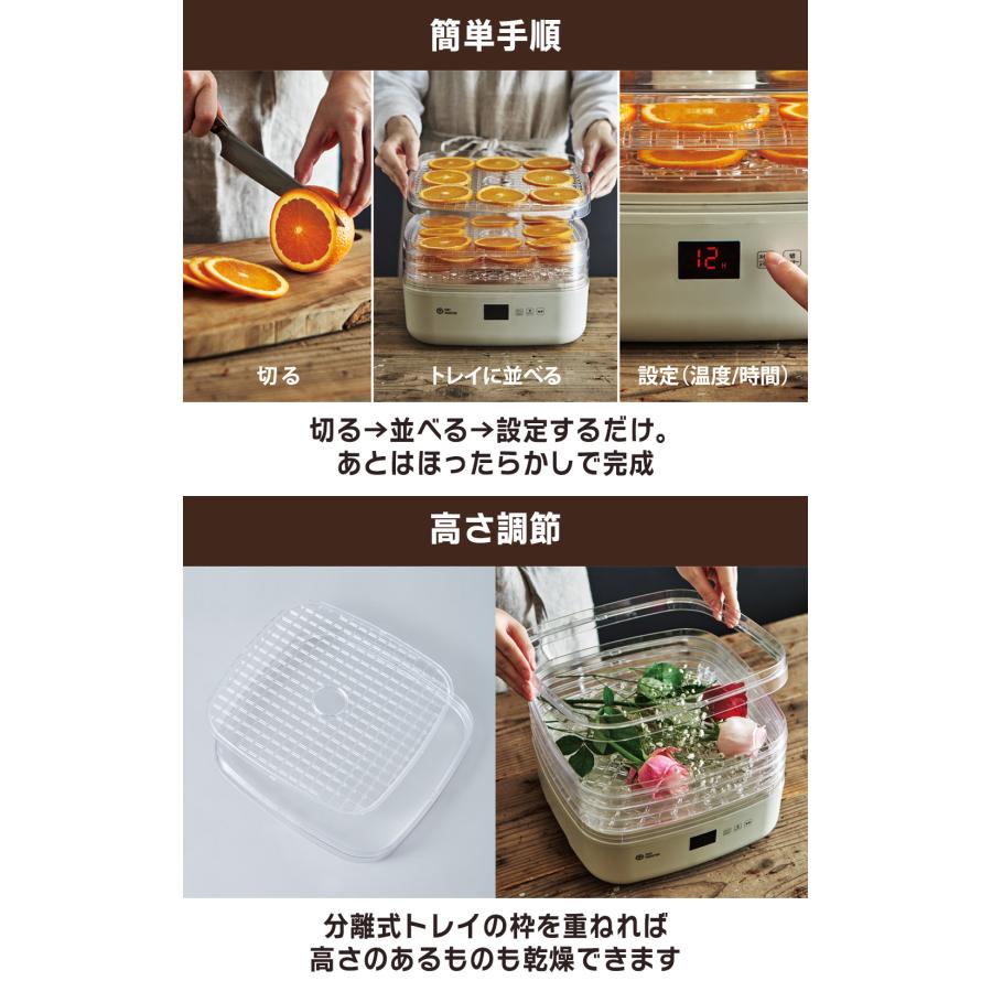 DRY MEISTER フードドライヤー アピックスインターナショナル ドライマイスター 食品乾燥機【Dry