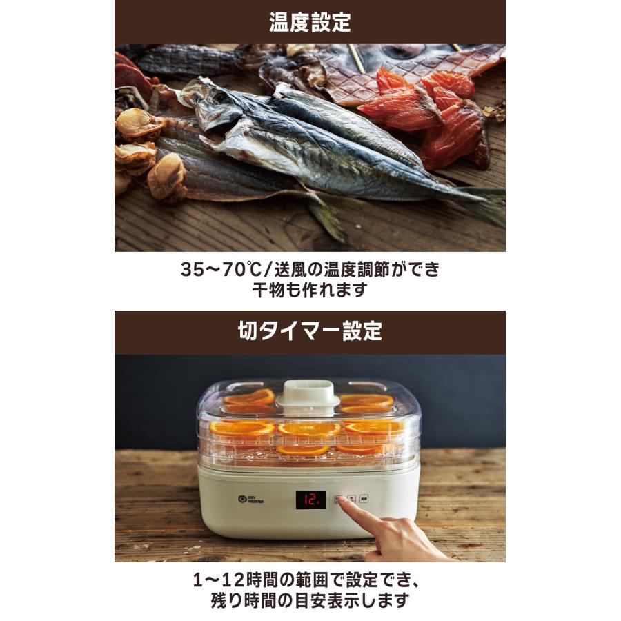 アピックスインターナショナル ドライマイスター 食品乾燥機【Dry