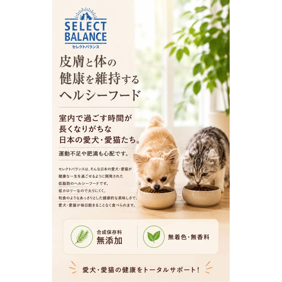 セレクトバランス グレインフリー アダルト 贅沢サーモン 1才以上の成猫用 1.4kg キャットフード 送料無料 |  | 07