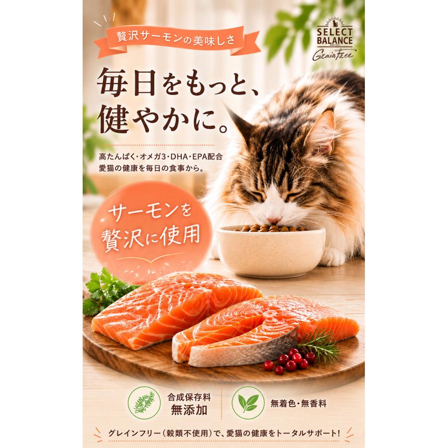 セレクトバランス グレインフリー スリム 贅沢サーモン 成猫の体重管理用 350g キャットフード |  | 01