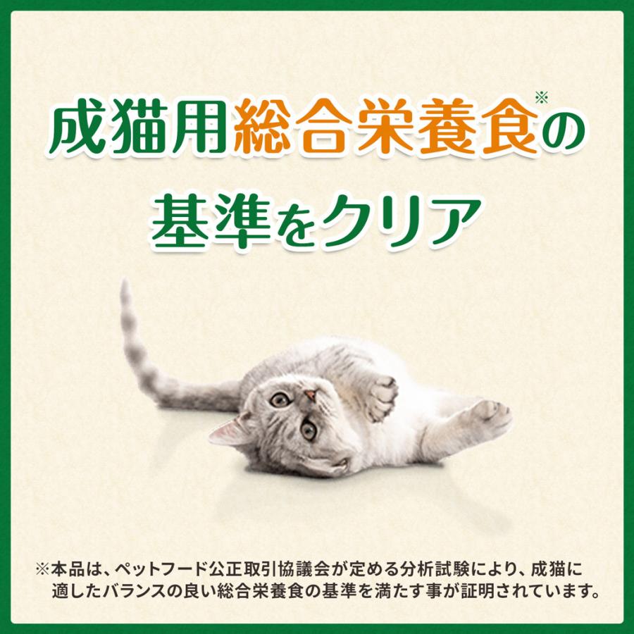 【公認店】グリニーズ 猫用 キャット グリルチキン・西洋マタタビ風味 キャットニップ 60g オーラルケア｜kurosu｜07