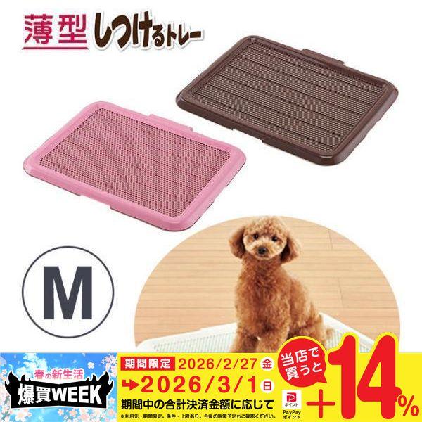 ボンビアルコン ボンビ 薄型 しつける トレー M ブラウン ピンク