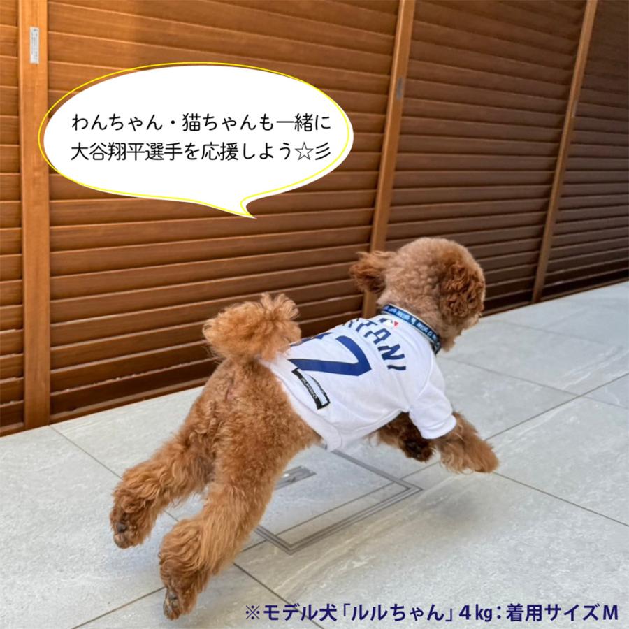 MLB公式 ロサンゼルス ドジャース 大谷翔平選手モデル ペット用 ユニフォーム Tシャツ Lサイズ｜kurosu｜03