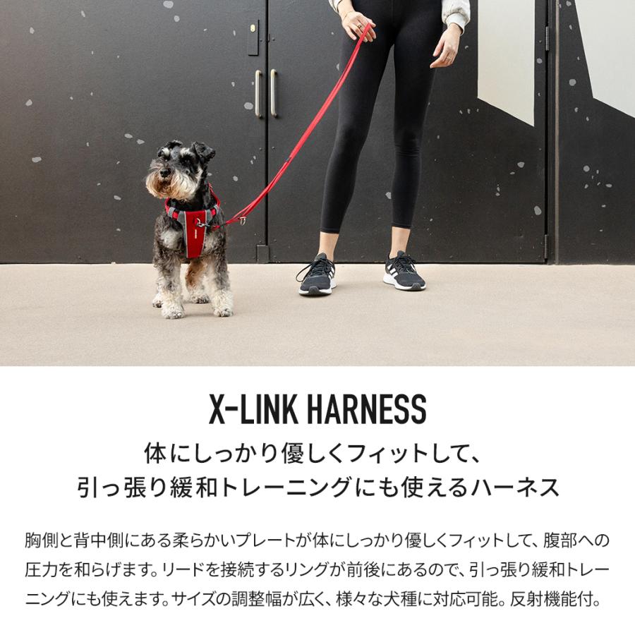 イージードッグ EZYDOG エックスリンクハーネス XLの画像