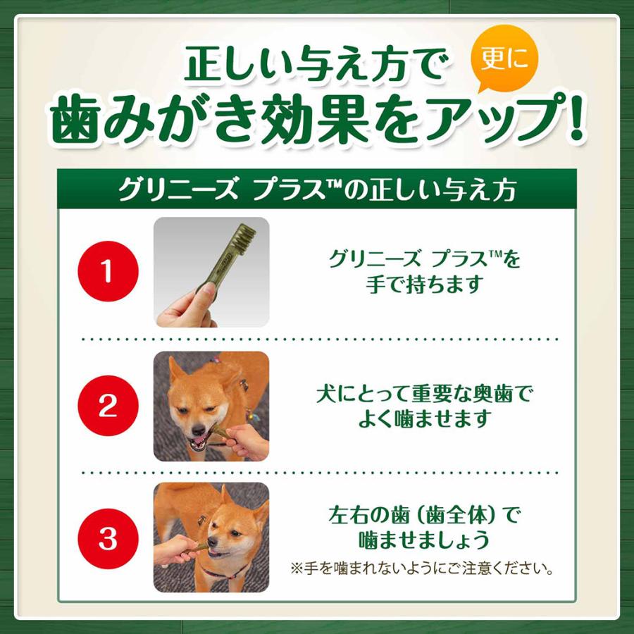 公認店 グリニーズプラス 成犬用 超小型犬用 2-7kg 60本入×3個セット ボックス オーラルケア | グリニーズ | 06