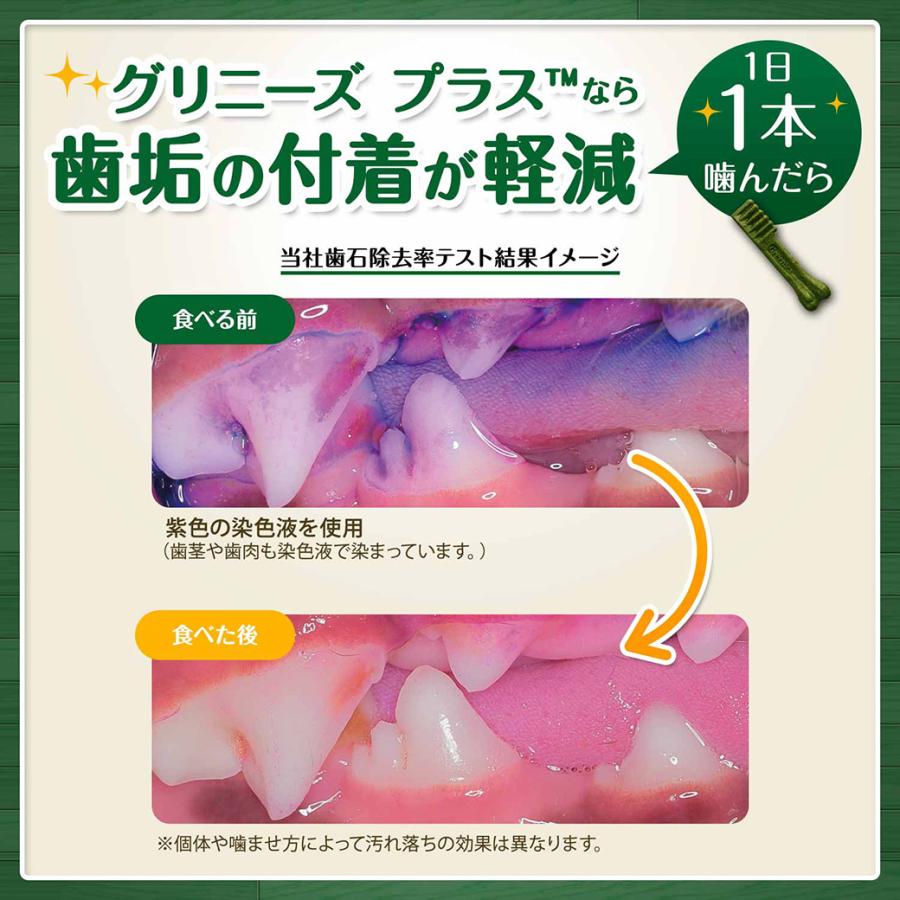 公認店 グリニーズプラス 成犬用 小型犬用 7-11kg 30本入×3個セット ボックス オーラルケア | グリニーズ | 03