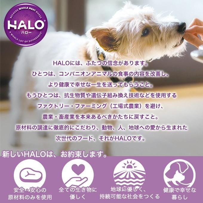 ドッグフード Halo Dog アダルト 1歳以上の成犬用 小粒 平飼いチキン 900g 3個 ハロー 成犬 小麦グルテンフリー 犬用ペットフード ペッツビレッジクロスpaypayモール 通販 Paypayモール