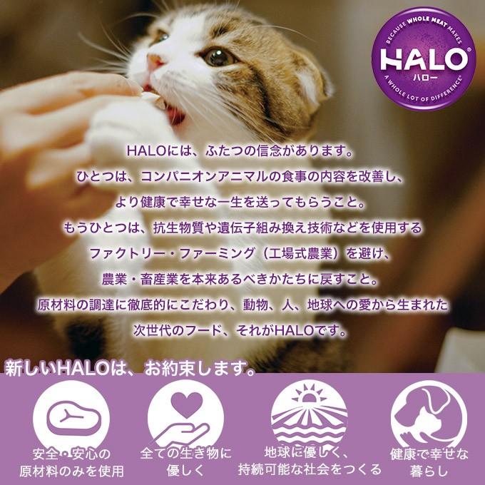 キャットフード Halo Cat キトン 子猫 母猫用 平飼いチキン グレインフリー 1 6kg 2個 ハロー 幼猫 授乳期 穀物不使用 ペッツビレッジクロスpaypayモール 通販 Paypayモール