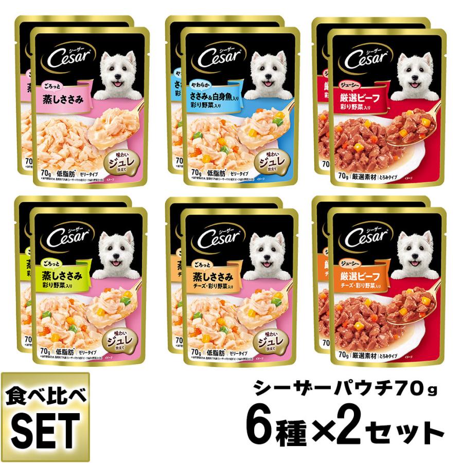 春夏新作モデル まとめ シーザー 2ヶ月からの子いぬ用 ビーフ にんじん たまご入り 100g ペット用品 犬フード Fucoa Cl
